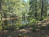 TBD Allen Dew Rd. - Photo 3