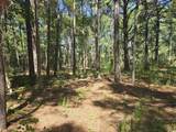 TBD Allen Dew Rd. - Photo 7