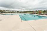 328 Kiskadee Loop - Photo 35