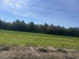 TBD Tansy Rd. - Photo 4
