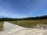 TBD Tansy Rd. - Photo 6