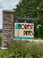 337 Golan Circle - Photo 40