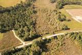 14.81 Acres-TBD Deerfield Rd. - Photo 13