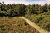 14.81 Acres-TBD Deerfield Rd. - Photo 9