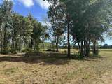 TBD Bourne Trail - Photo 8