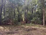 TBD Bourne Trail - Photo 9