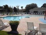 1984 Jacana Dr. - Photo 19