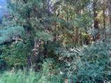 TBD Mill Berry Ln. - Photo 1
