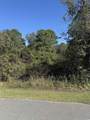 TBD Plum Tree Ln. - Photo 4