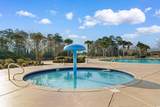 1005 Whooping Crane Dr. - Photo 29