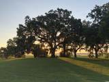 829 Commanders Island Rd. - Photo 4