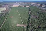 57.40 Acres-TBD Cades Rd. - Photo 1