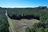 57.40 Acres-TBD Cades Rd. - Photo 11