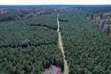 57.40 Acres-TBD Cades Rd. - Photo 12
