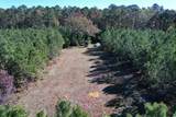 57.40 Acres-TBD Cades Rd. - Photo 14