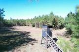 57.40 Acres-TBD Cades Rd. - Photo 15