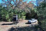 57.40 Acres-TBD Cades Rd. - Photo 16