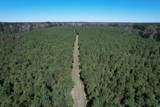 57.40 Acres-TBD Cades Rd. - Photo 18