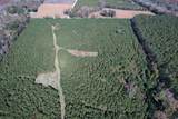 57.40 Acres-TBD Cades Rd. - Photo 19