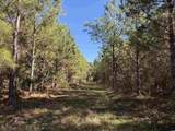 57.40 Acres-TBD Cades Rd. - Photo 2