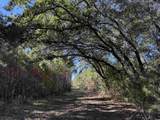 57.40 Acres-TBD Cades Rd. - Photo 4