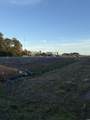 Lot 1 & 2 College Park Rd. - Photo 2