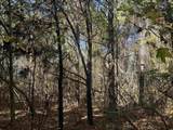 793 Puncheon Creek Dr. - Photo 4