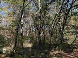 793 Puncheon Creek Dr. - Photo 6