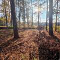 616 Mccown Dr. - Photo 4