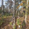 616 Mccown Dr. - Photo 6