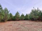 Lot 2 - TBD New Pine Rd. - Photo 1
