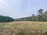 Lot 1 - TBD New Pine Rd. - Photo 5