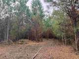 Lot 1 - TBD New Pine Rd. - Photo 6