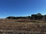 1.70 Acres-TBD West Dogwood Rd. - Photo 1