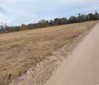 lot 1 Davis Lane - Photo 4