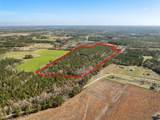 TBD Lot 1 Daphane Dr. - Photo 12