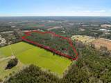TBD Lot 1 Daphane Dr. - Photo 8