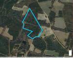 TBD Sand Hill Bay Rd. - Photo 13