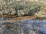  Duckwood Rd. - Photo 3