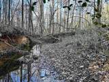  Duckwood Rd. - Photo 6