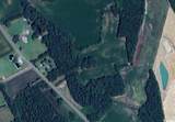 4925 Highway 554 - Photo 3