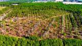 Acreage Highway 45 - Photo 11