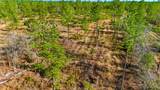 Acreage Highway 45 - Photo 12