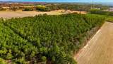 Acreage Highway 45 - Photo 13