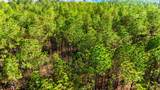Acreage Highway 45 - Photo 14