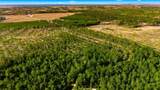 Acreage Highway 45 - Photo 17