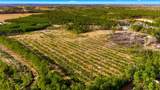 Acreage Highway 45 - Photo 18