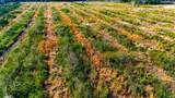 Acreage Highway 45 - Photo 20