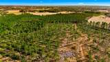 Acreage Highway 45 - Photo 3