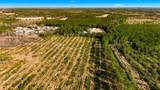Acreage Highway 45 - Photo 4